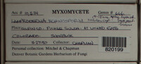 Image Associated With the Occurence